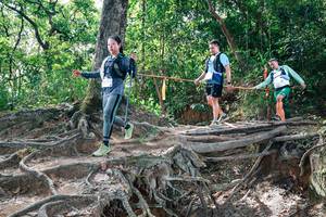 BIB: 
                            <button type="button" onclick="openModal(27720308)" class="btn btn-primary btn-sm float-right btn-popup" data-toggle="modal" data-target=".modal-high-quality">
                        <i class="fas fa-shopping-cart"></i> Add to Cart
                    </button>
                                            <button type="button" onclick="isThisMe(27720308, true)" class="btn btn-success btn-sm float-right btn-popup btn-isme hidden" data-toggle="tooltip" data-placement="bottom" title="นี่คือรูปของคุณใช่ไหม คลิกที่นี่เพื่อเอาเข้าอัลบั้ม">
                        <i class="fas fa-plus"></i> Add to album
                    </button>
                    <button type="button" onclick="isThisMe(27720308, false)" class="btn btn-warning btn-sm float-right btn-popup btn-isnotme hidden">
                        <i class="fas fa-ban"></i> Remove from album
                    </button>